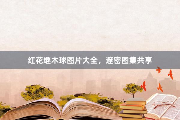 红花继木球图片大全，邃密图集共享