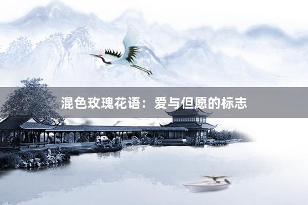混色玫瑰花语：爱与但愿的标志