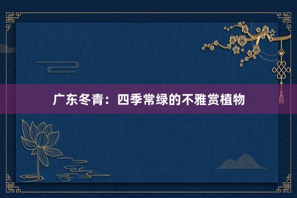 广东冬青：四季常绿的不雅赏植物